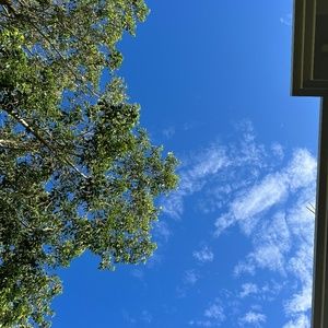 Meet your Posher, Komal